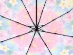 Зонт  женский Zicco, арт.2240-2_product